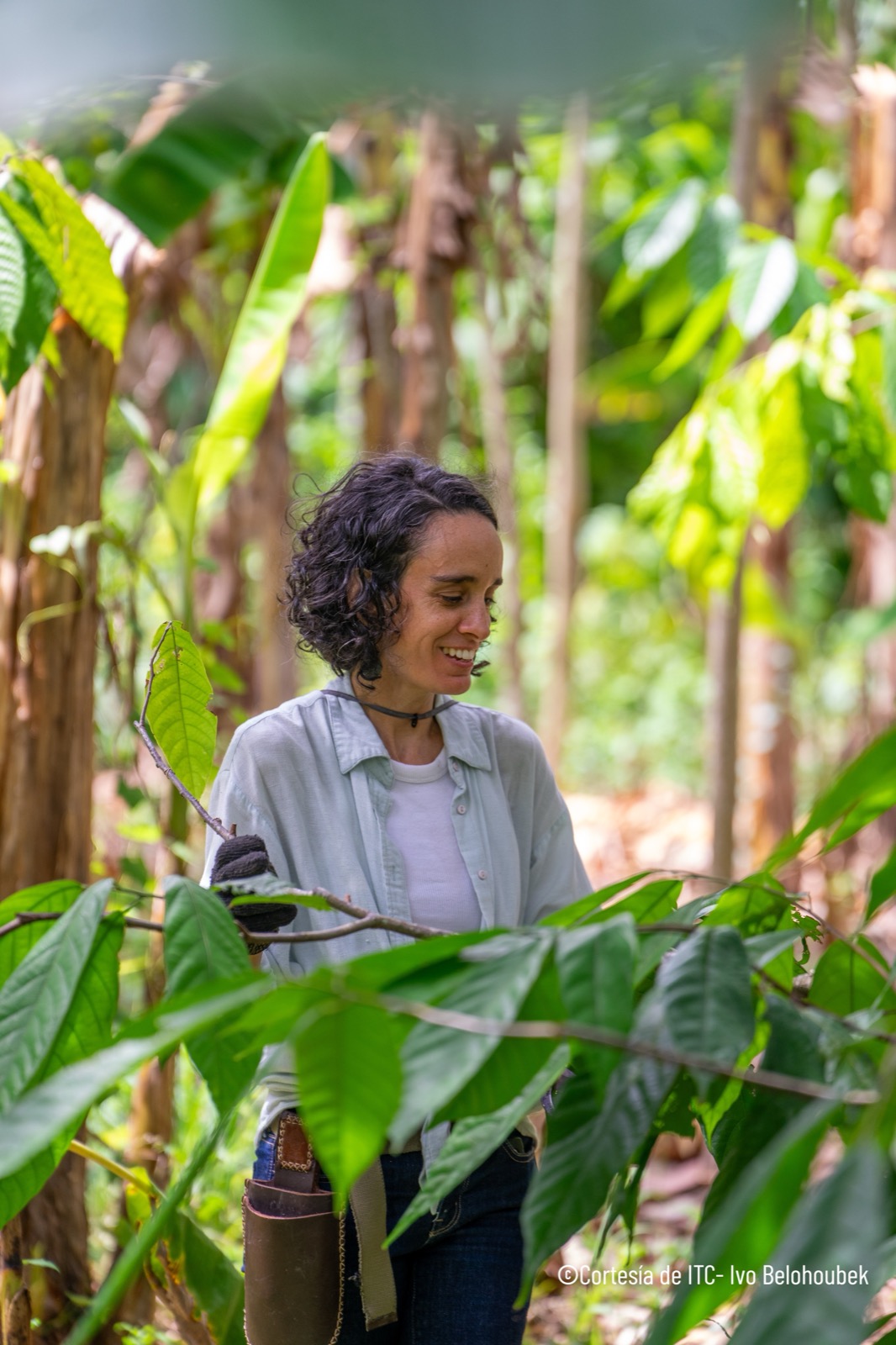 Altair Rodríguez inspecciona una rama de cacao en Finca Tierra Negra